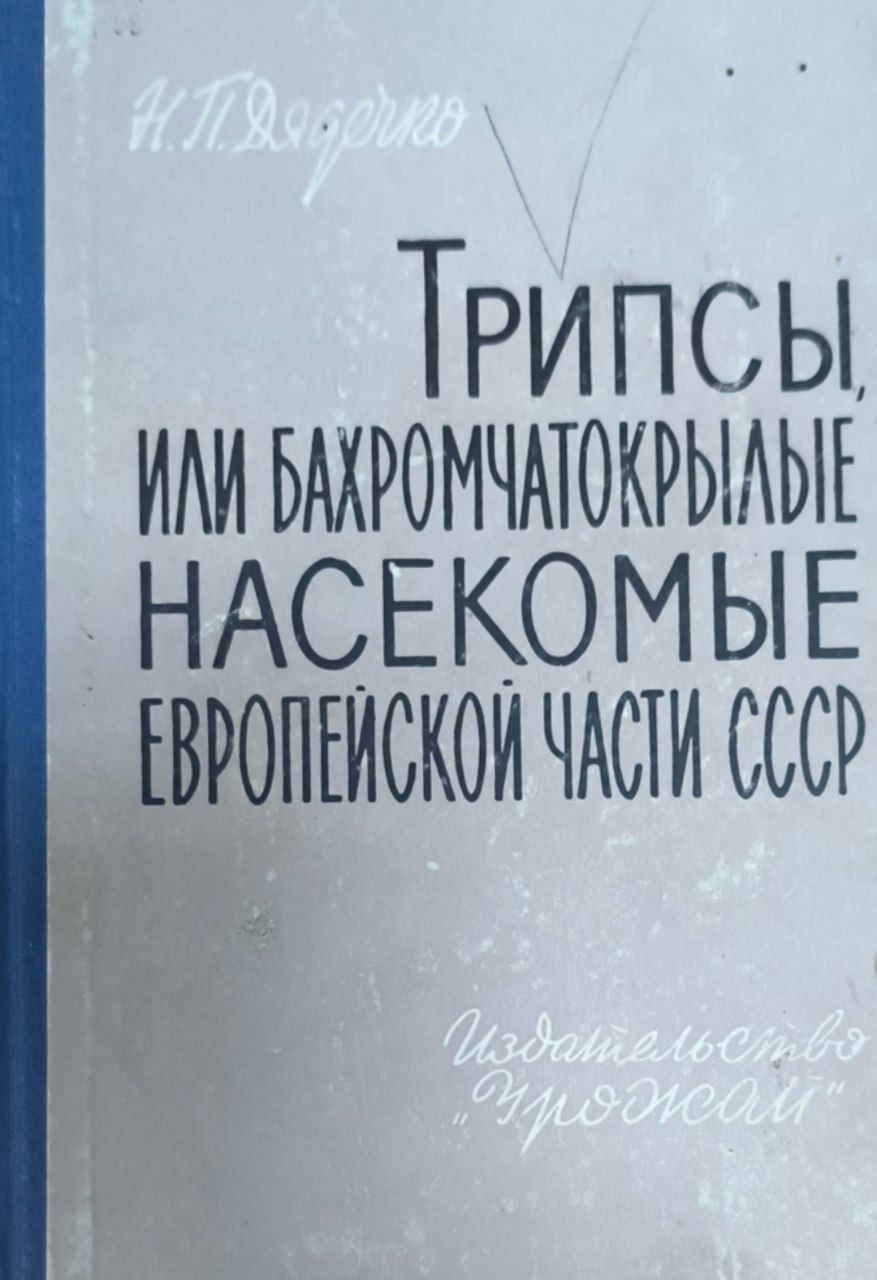 Трипсы, или бахромчатокрылые насекомые (thysanoptera) европейской част
