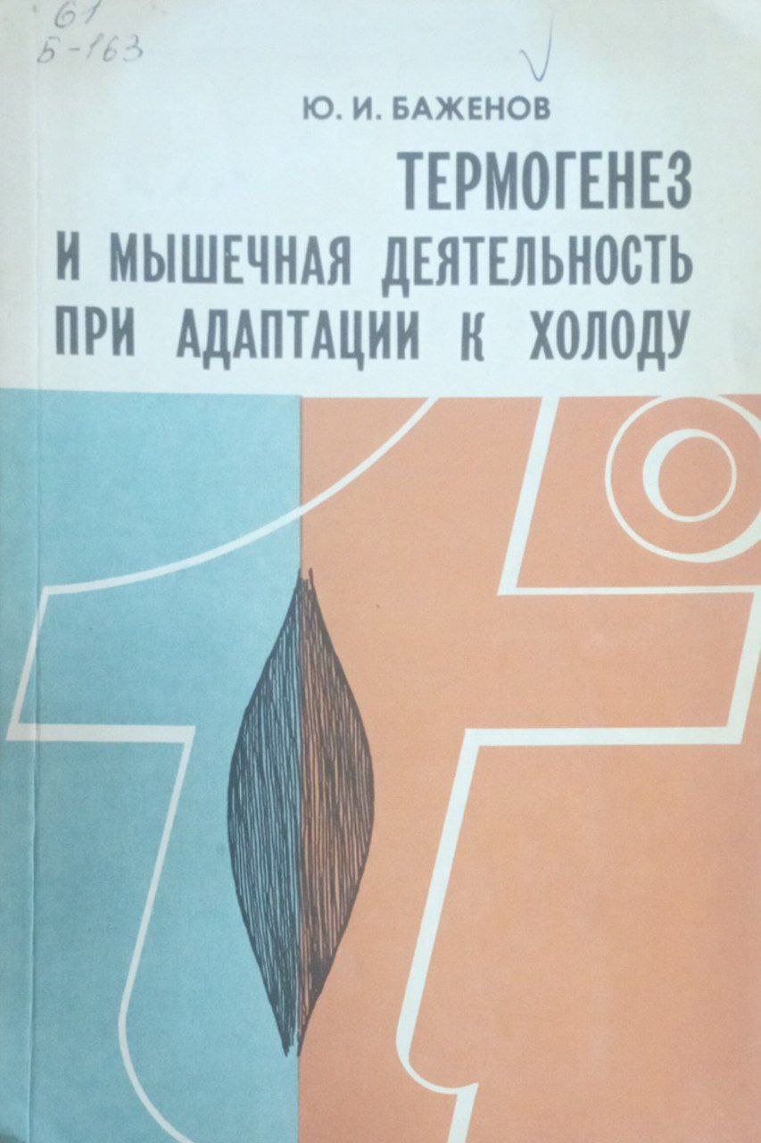 Термогенез и мышечная деятельность при адаптации к холоду