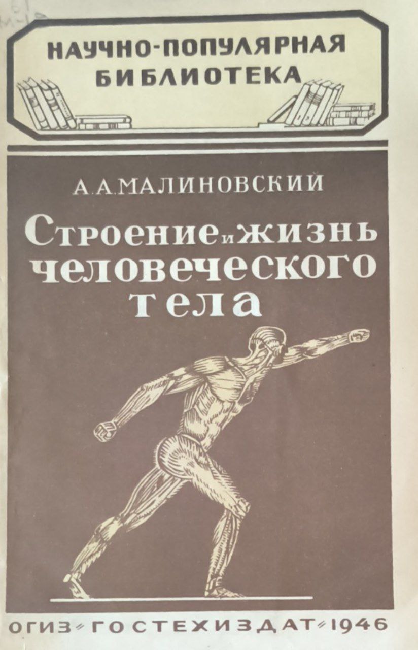 Строение и жизнь человеческого тела