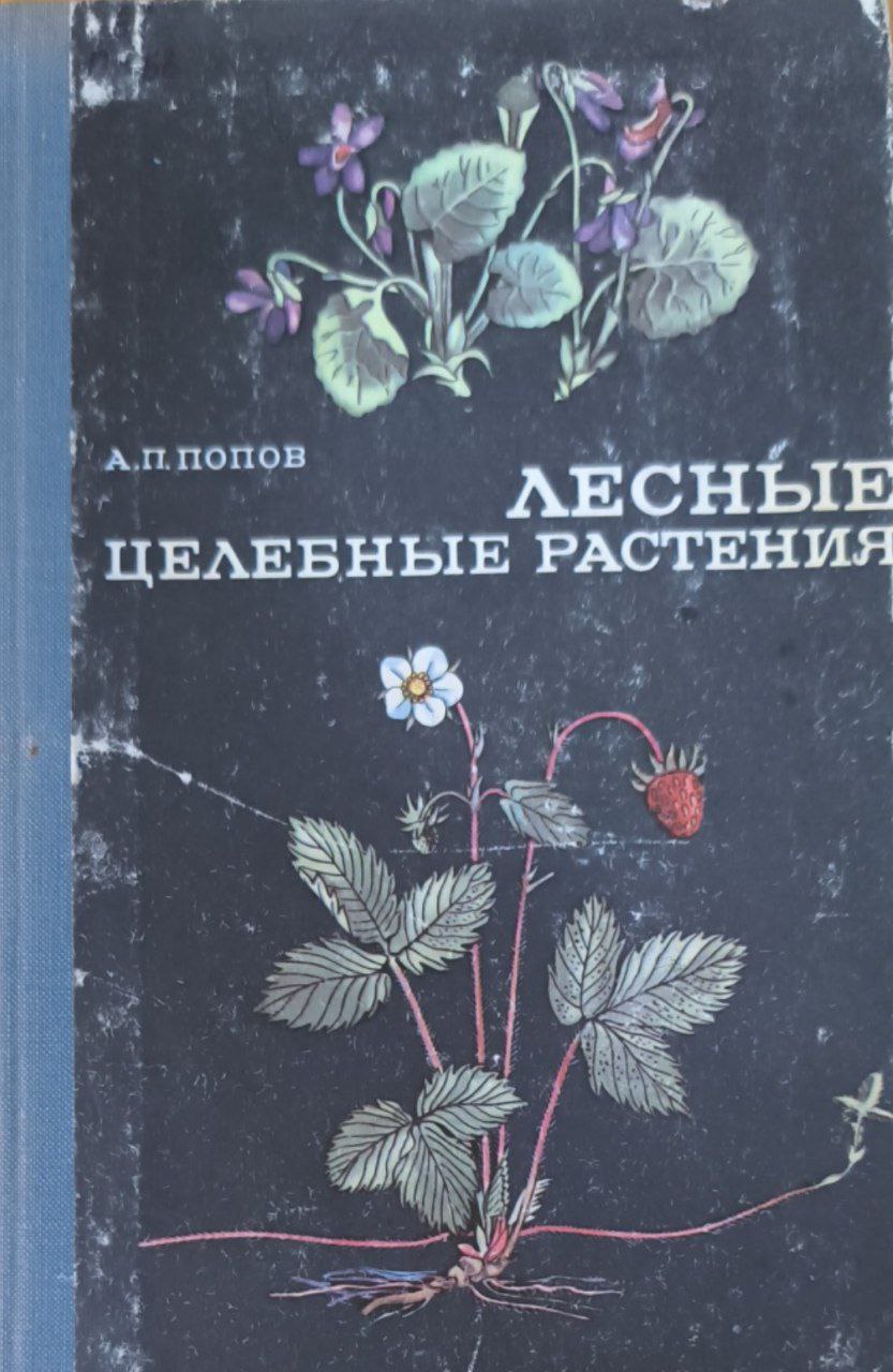 Лесные целебные растения