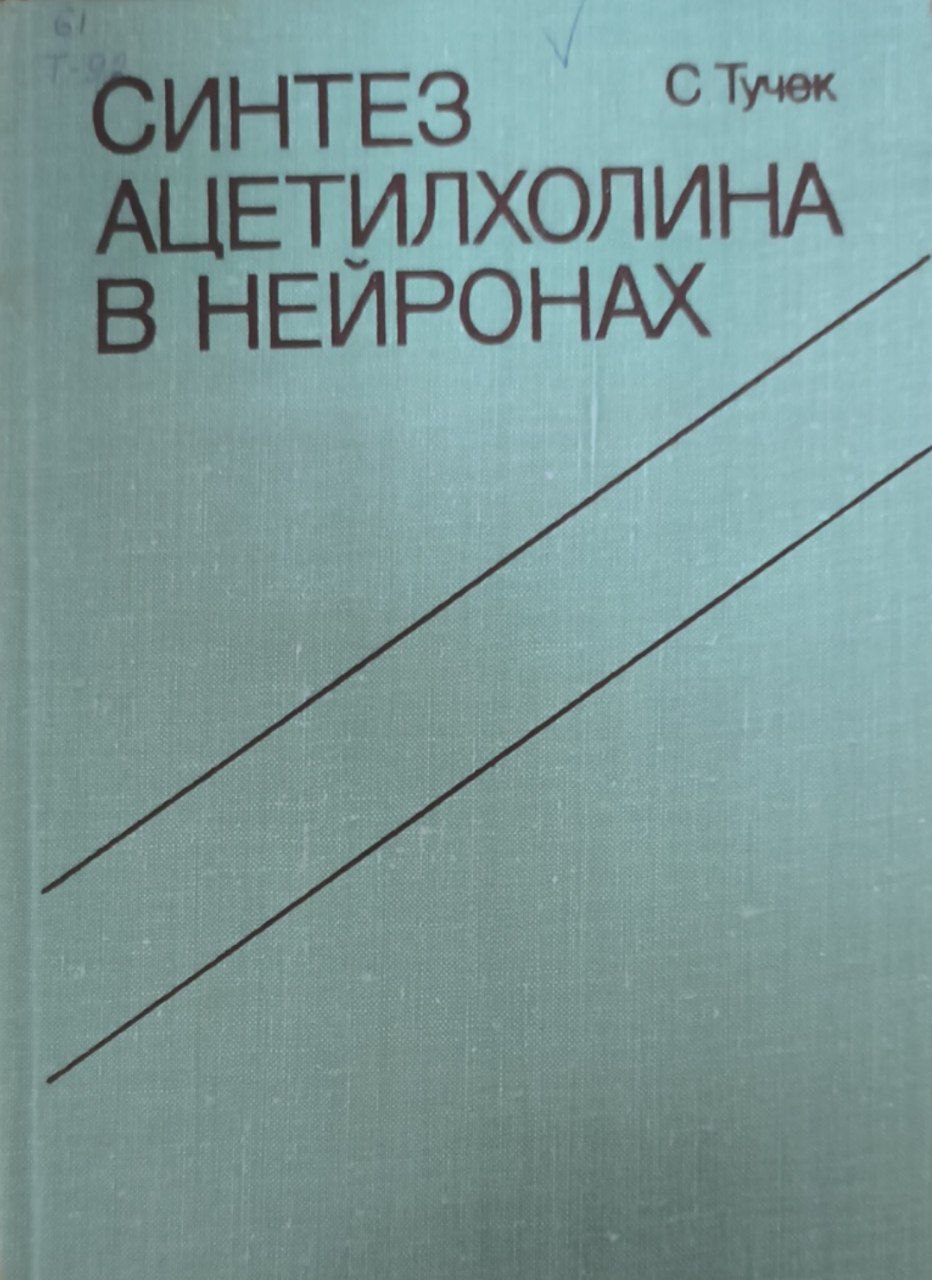 Синтез ацетилхолина в нейронах