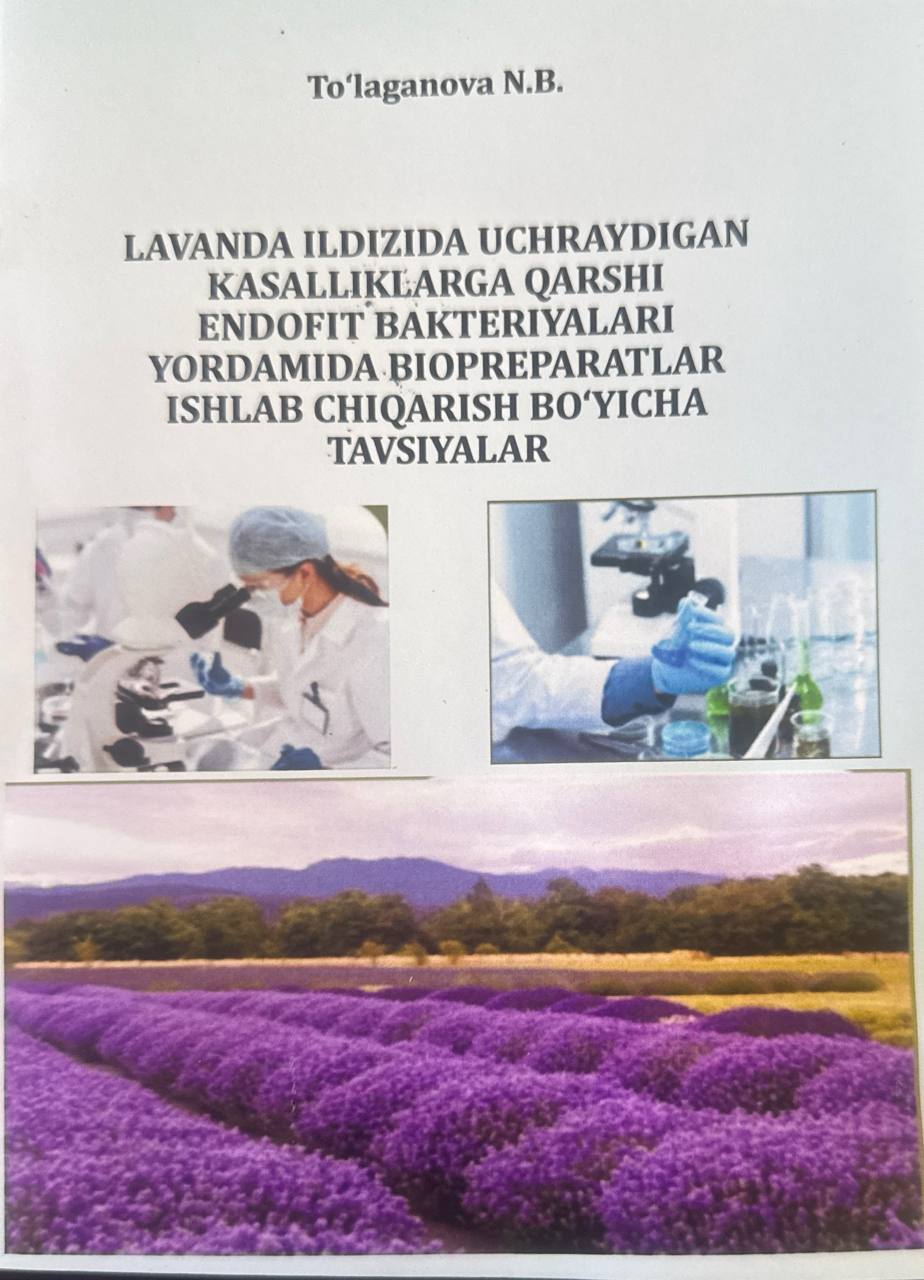 Lavanda ildizida uchraydigan kasalliklarga qarshi endofit bakteriyalari yordamida biopreparatlar ishlab chiqarish bo'yicha tavsiyalar