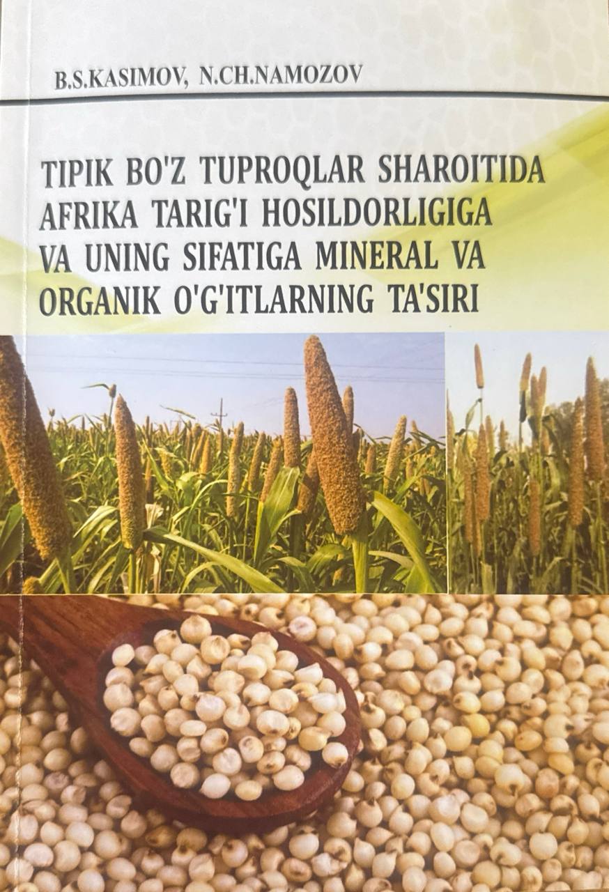 Tipik bo'z tuproqlar sharoitida Afrika tarig'i hosildorligiga va uning sifatiga mineral va organik o'g'itlarning ta'siri