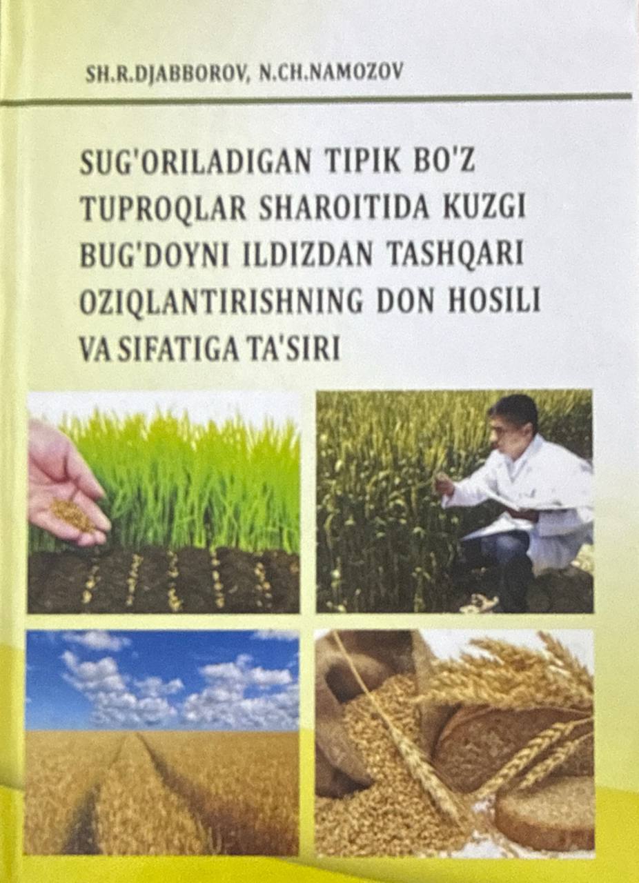 Suq'oriladigan tipik bo'z tuproqlar sharoitida kuzgi bug'doyni ildizidan tashqari oziqlantirishning don hosili va sifatiga ta'siri