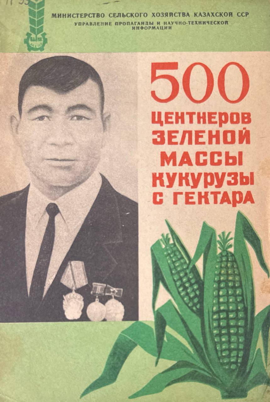 500 центнеров зеленой массы кукурузы с гектара