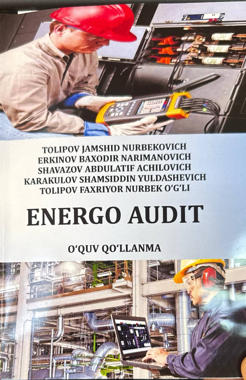 Energo audit
