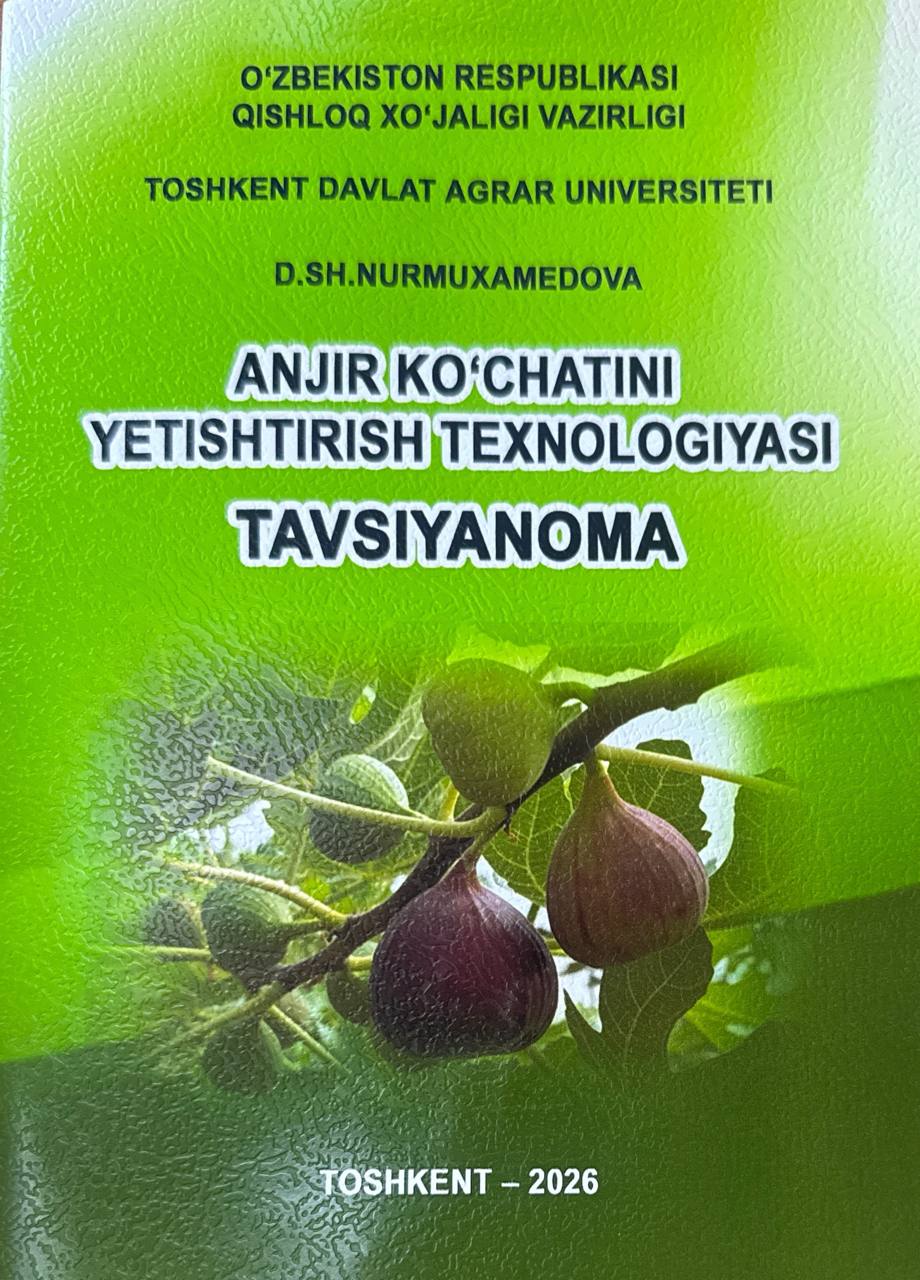 Anjir ko'chatini yetishtirish texnologiyasi