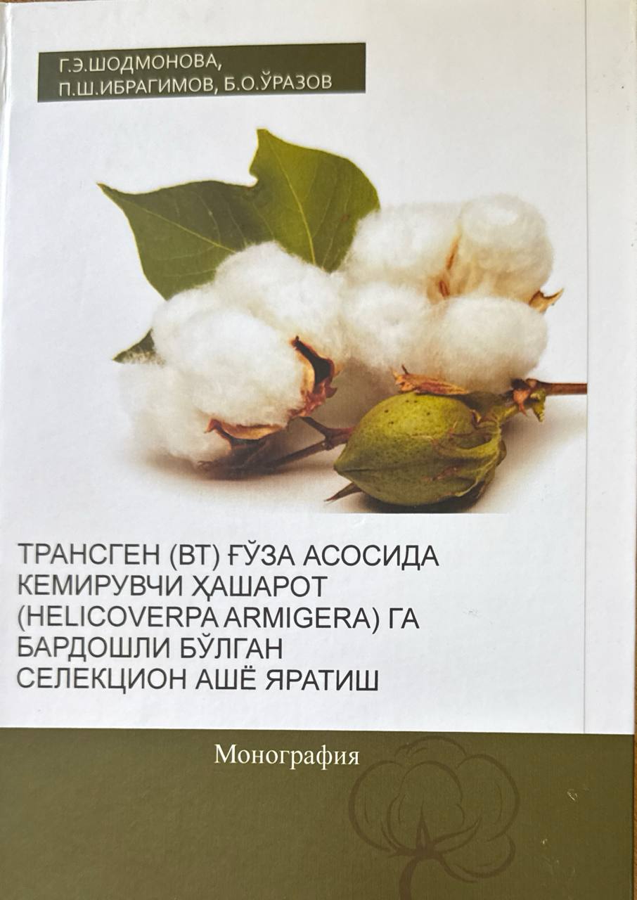 Трансген (ВТ) ғўза асосида кемирувчи ҳашарот (Helicoverpa armigera)га бардошли бўлган селекцион ашё яратиш