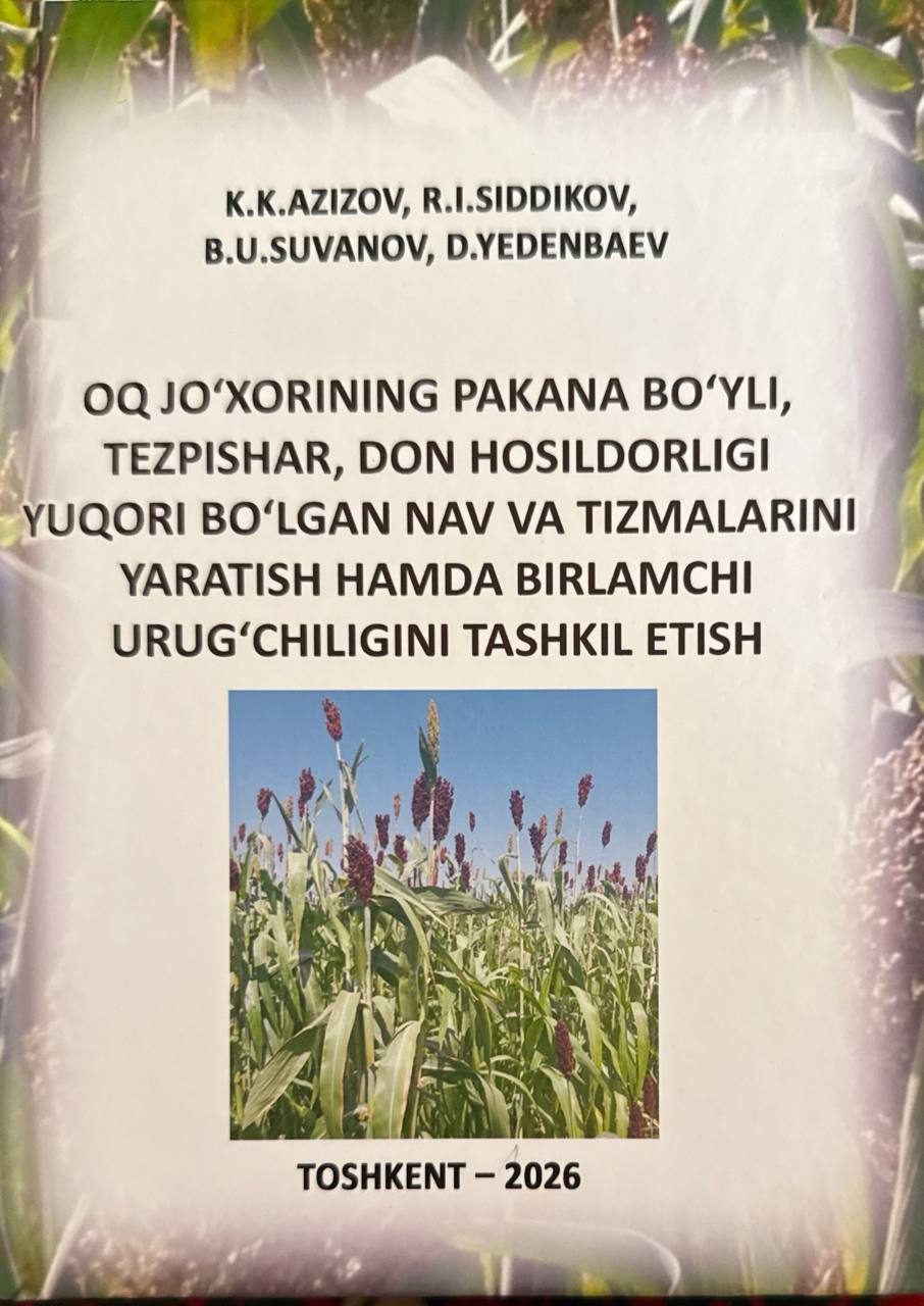 Oq jo'xorining pakana bo'yli, tezpishar, don hosildorligi yuqori bo'lgan nav va tizmalarini yaratish hamda birlamchi urug'lanishini tashkil rtish