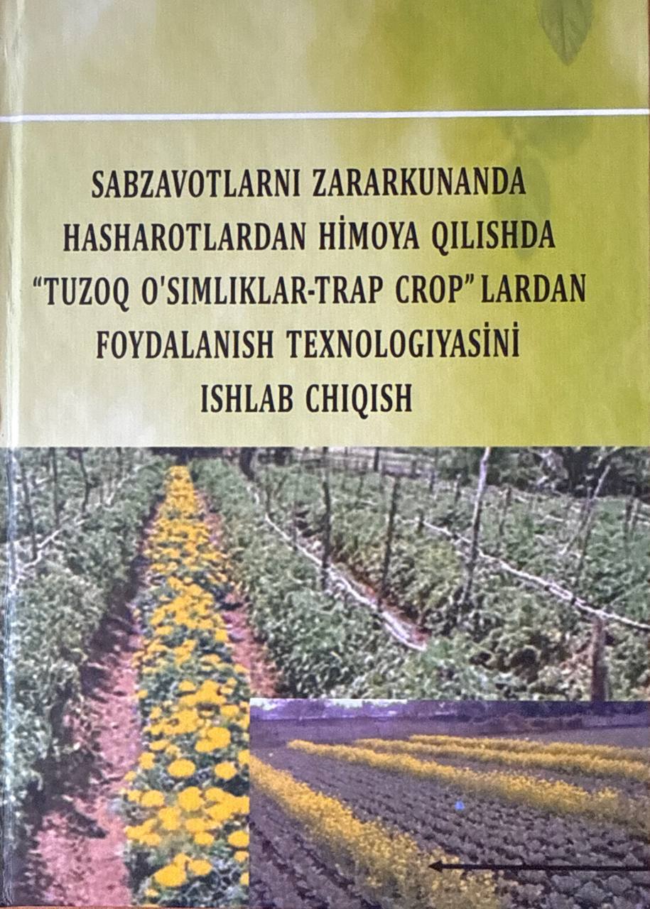 Sabzavotlarni zararkunanda hashoratlardan himoya qilishda "nuzoq o'simliklar-trap crop"lardan foydalanish texnologiyasini ishlab chiqish