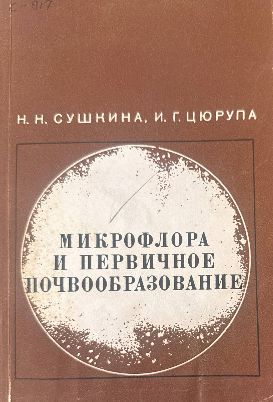 Микрофлора и первичное почвообразование