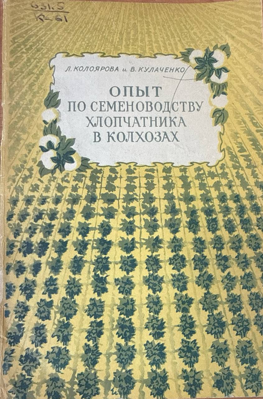 Опыт по семеноводству хлопчатника в хозяйствах