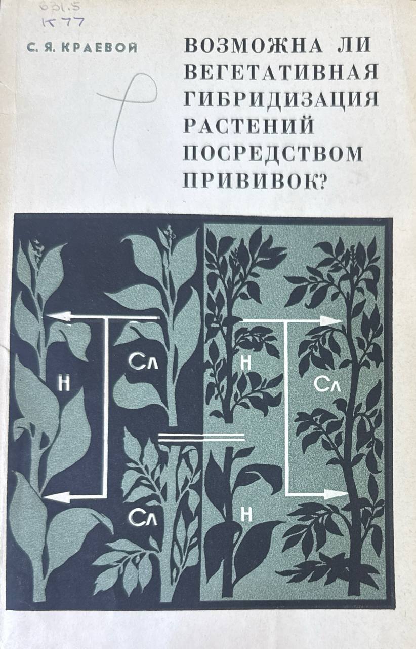 Возможно ли вегетативная гибридизация растений посредством прививок?