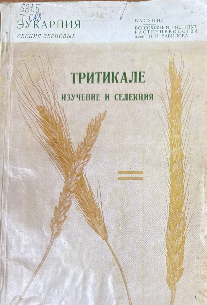 Тритикале (изучение и селекции)