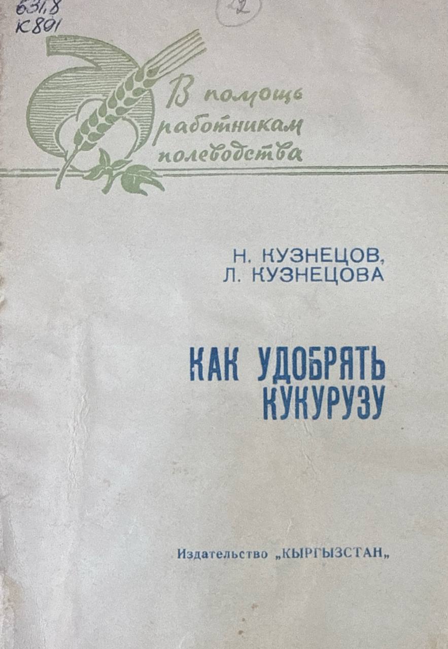 Как удобрядь кукурузу