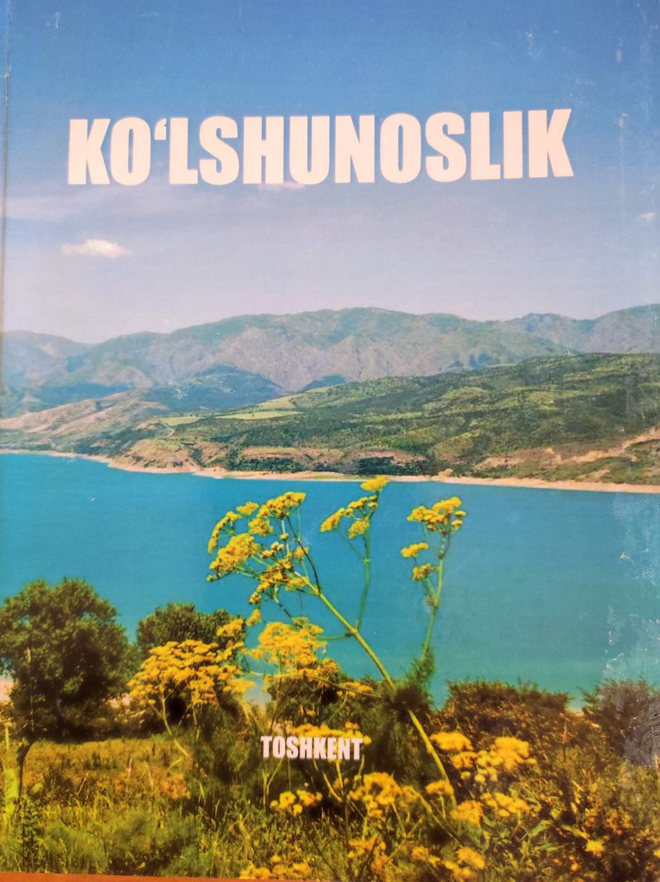 Ko`lshunoslik