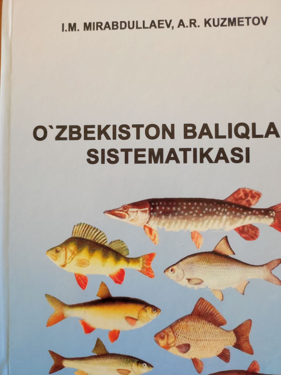 O'zbekiston baliqlari sistematikasi