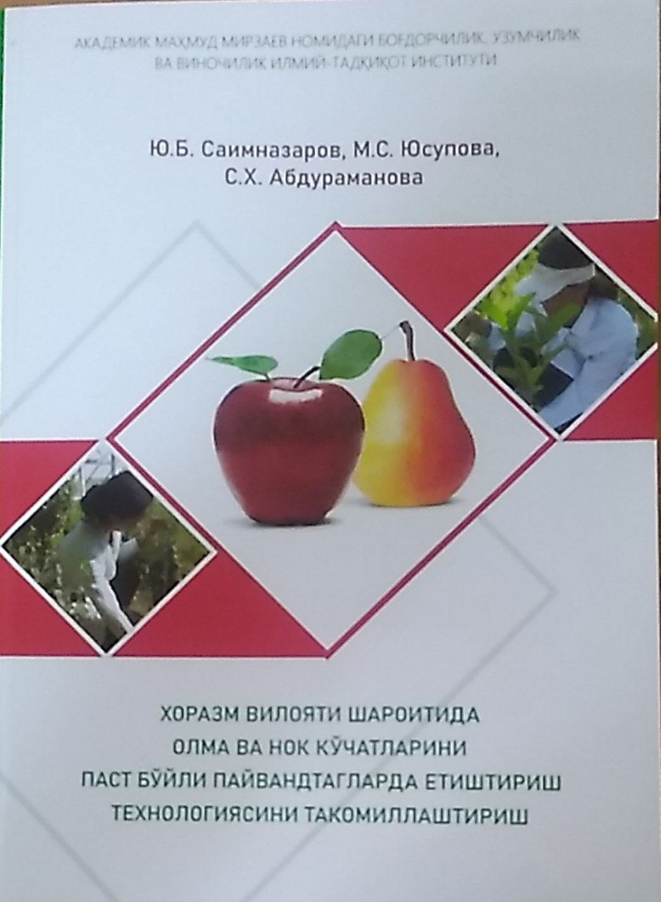 Хоразм вилояти шароитида олма ва нок кўчатларини паст бўйли пайвандтагларини етиштириш технологиясини такомиллаштириш