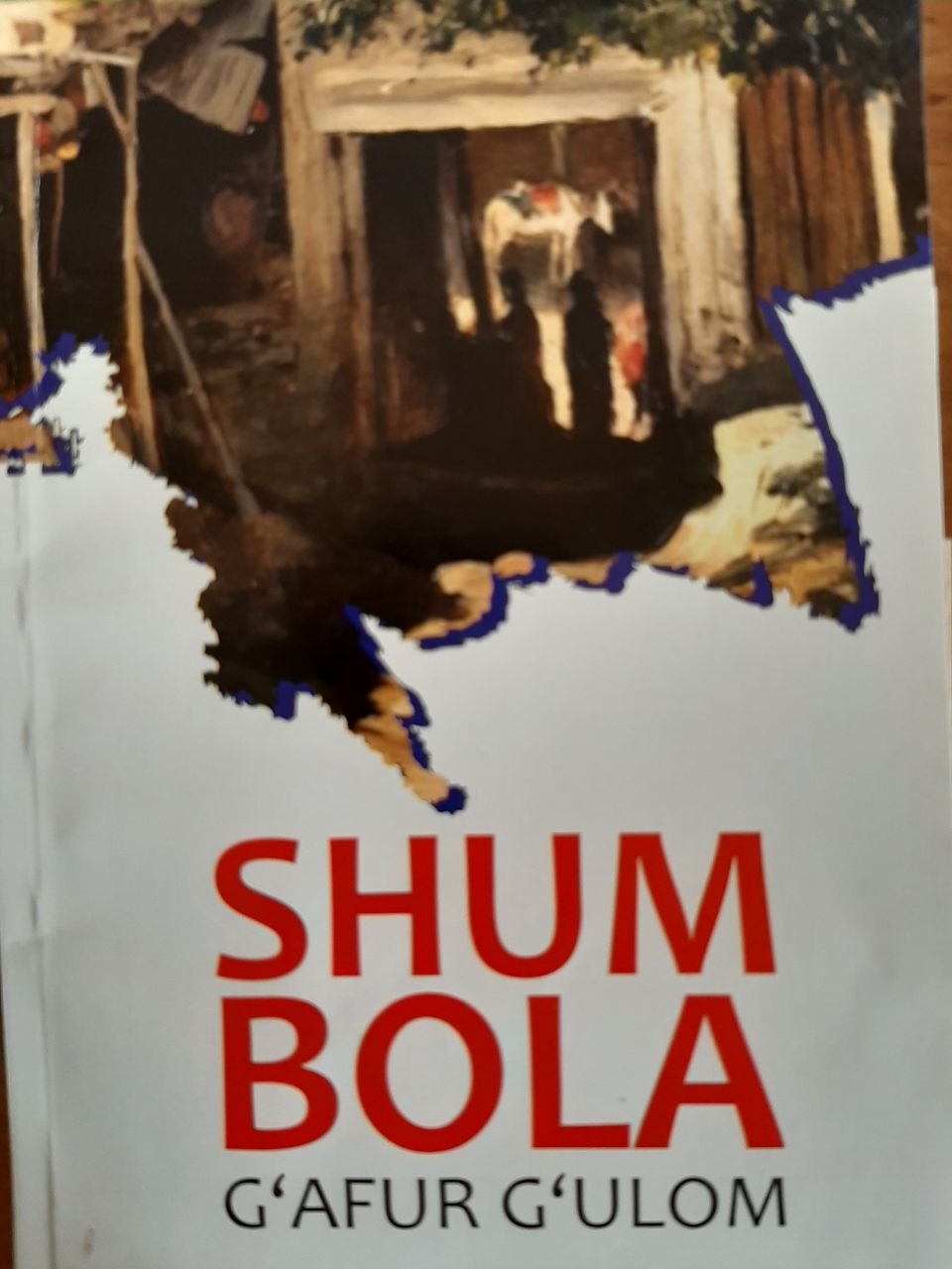 Shum bola