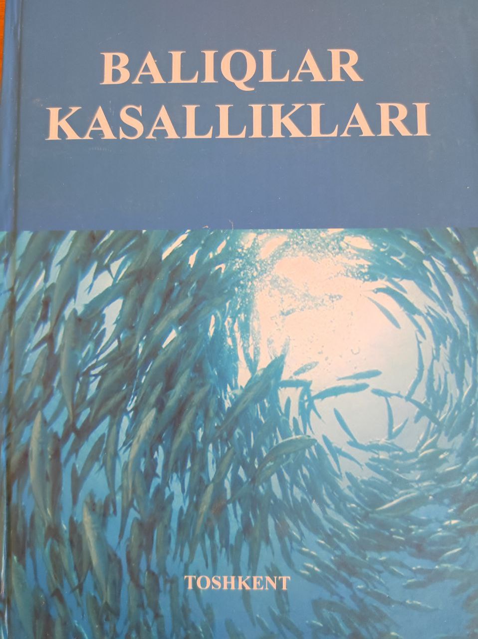 Baliqlar kasalliklari